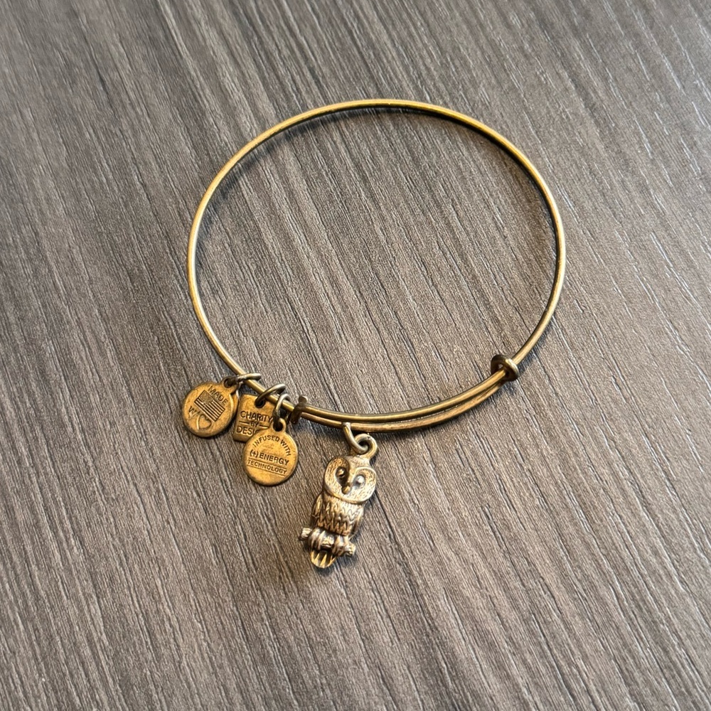 Alex and Ani Owl bracelet